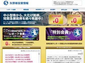 矢野新投資情報は悪徳サイト？口コミや評判から徹底検証！